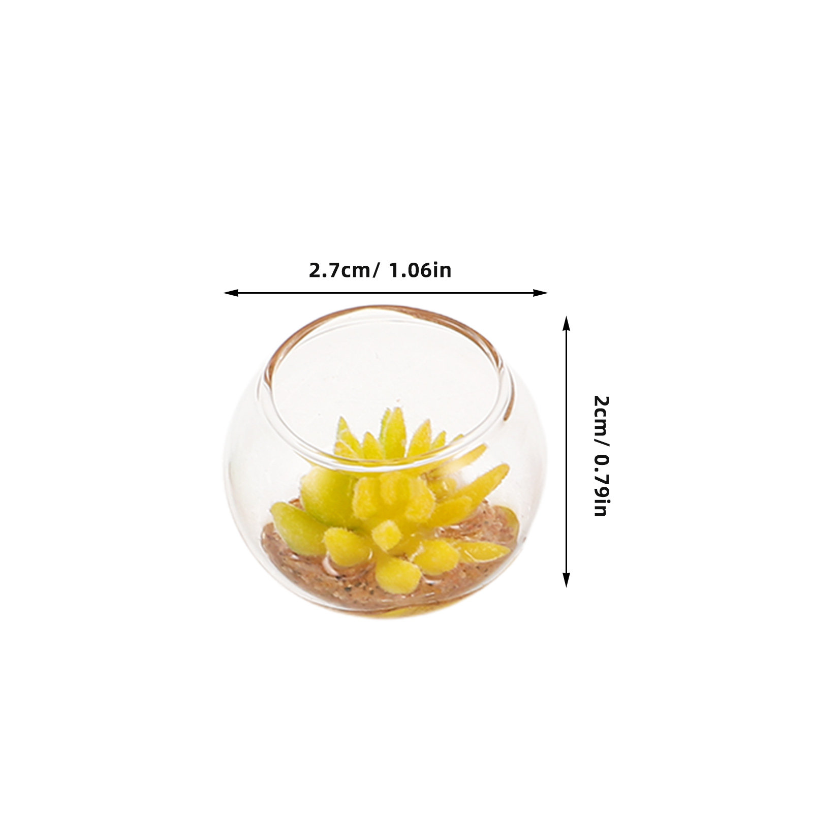 Miniature Glass Planters 5Pcs  - Plant Pot 评论和价格