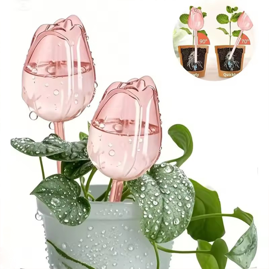 Transparent Thick PET Tulip Sh - Pothos 评论和价格