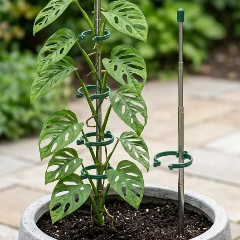 5/1PCS Retractable Plant Suppo - Plant Support Stake 评论和价格