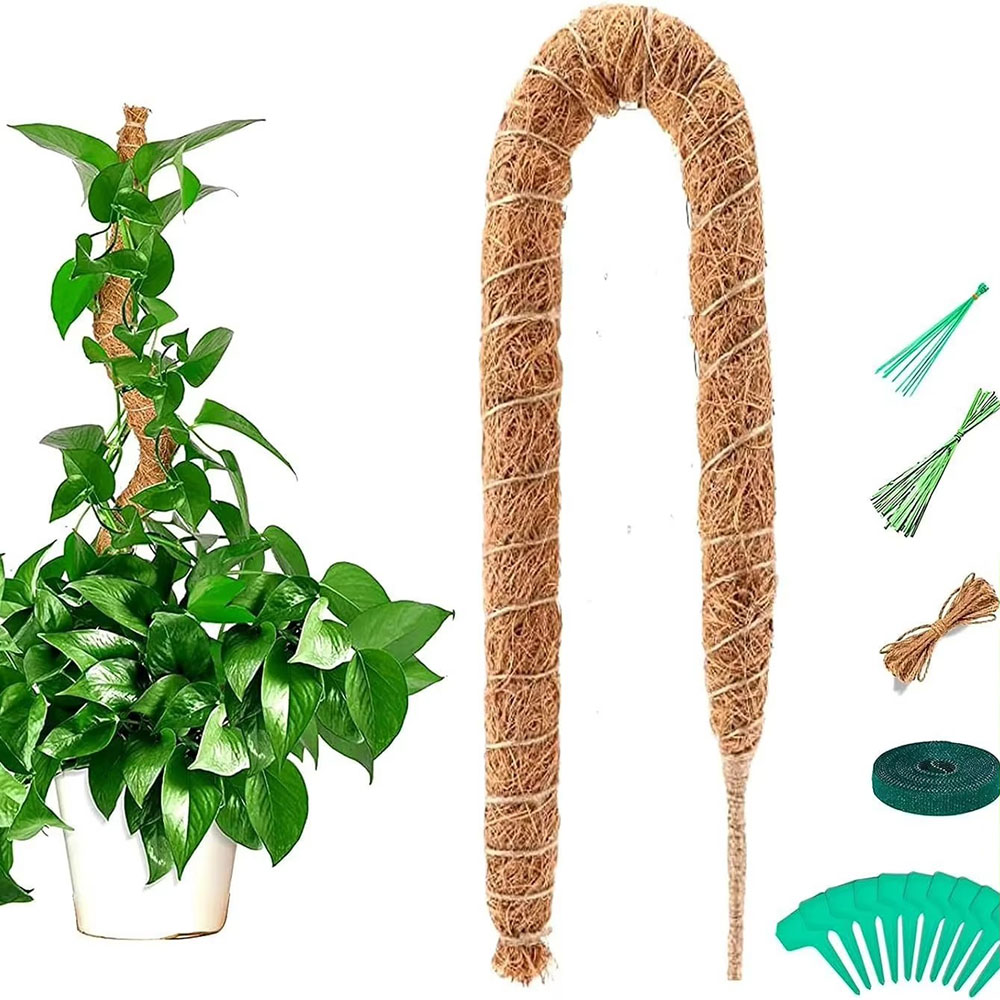 Horticultural Coconut Palm Sti - Pothos 评论和价格