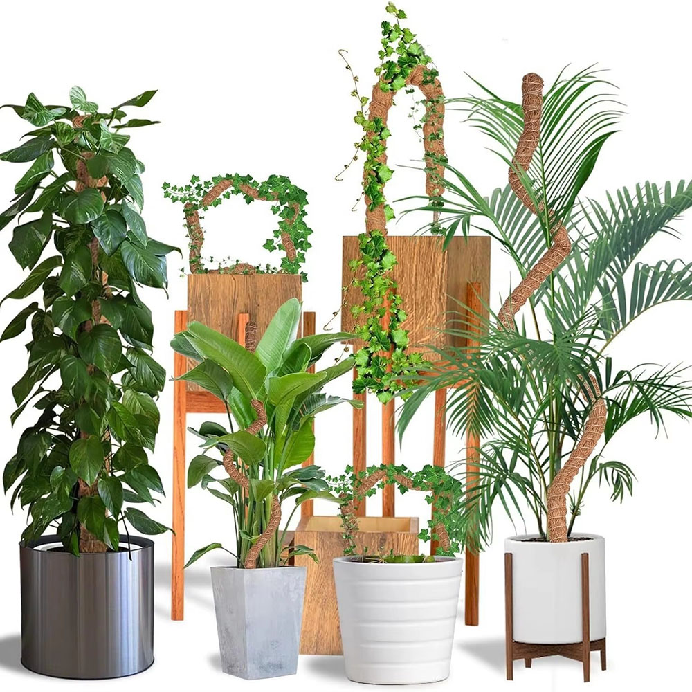 Horticultural Coconut Palm Sti - Pothos 评论和价格