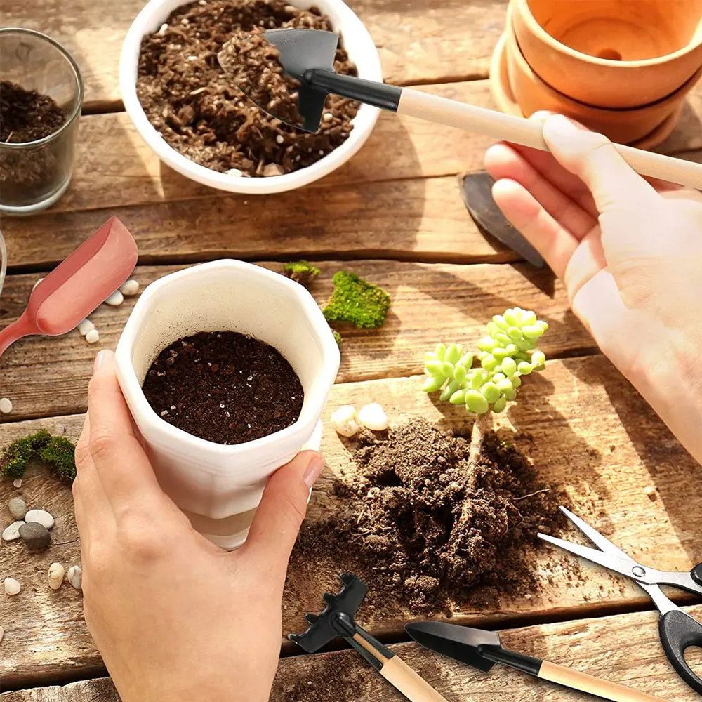 13PCS Succulent Plants Tool Se - Succulent Set 评论和价格