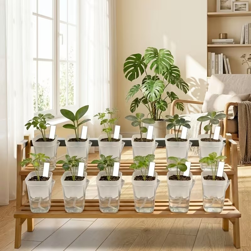 16/32 Pack Self-Watering Plant - Pothos 评论和价格