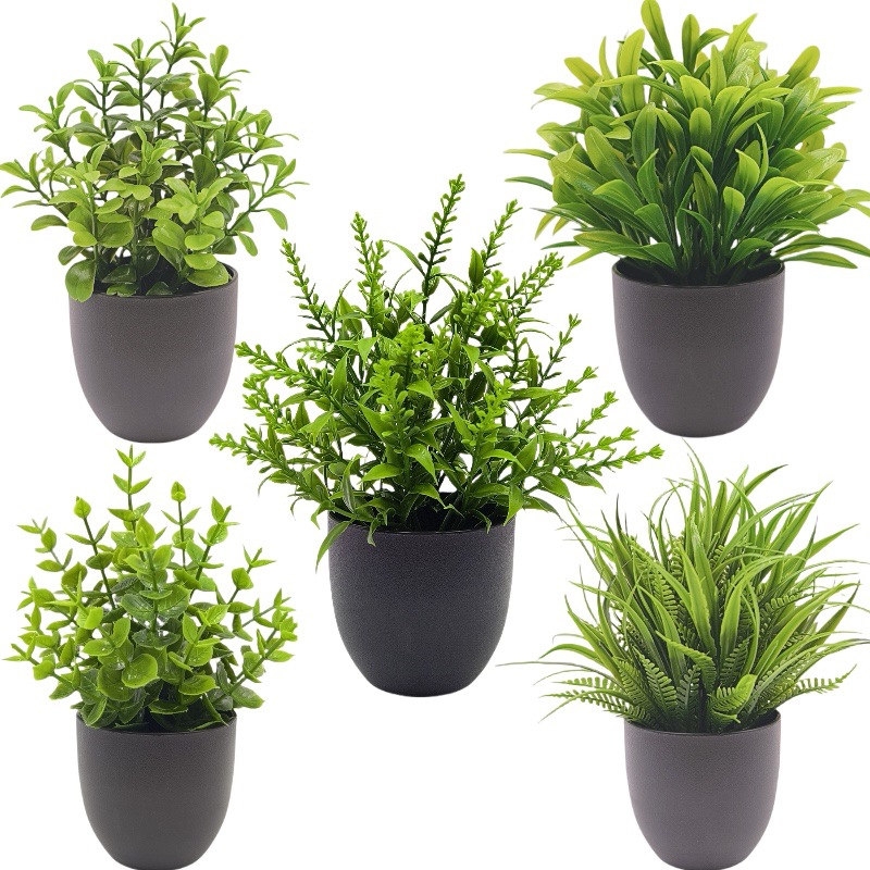 Simulation Green Plant Bonsai  - Succulent Set 评论和价格